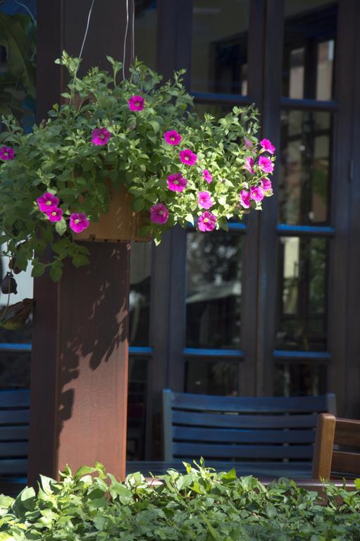 תאקהק Le Bouton D'Or Boutique Hotel מראה חיצוני תמונה